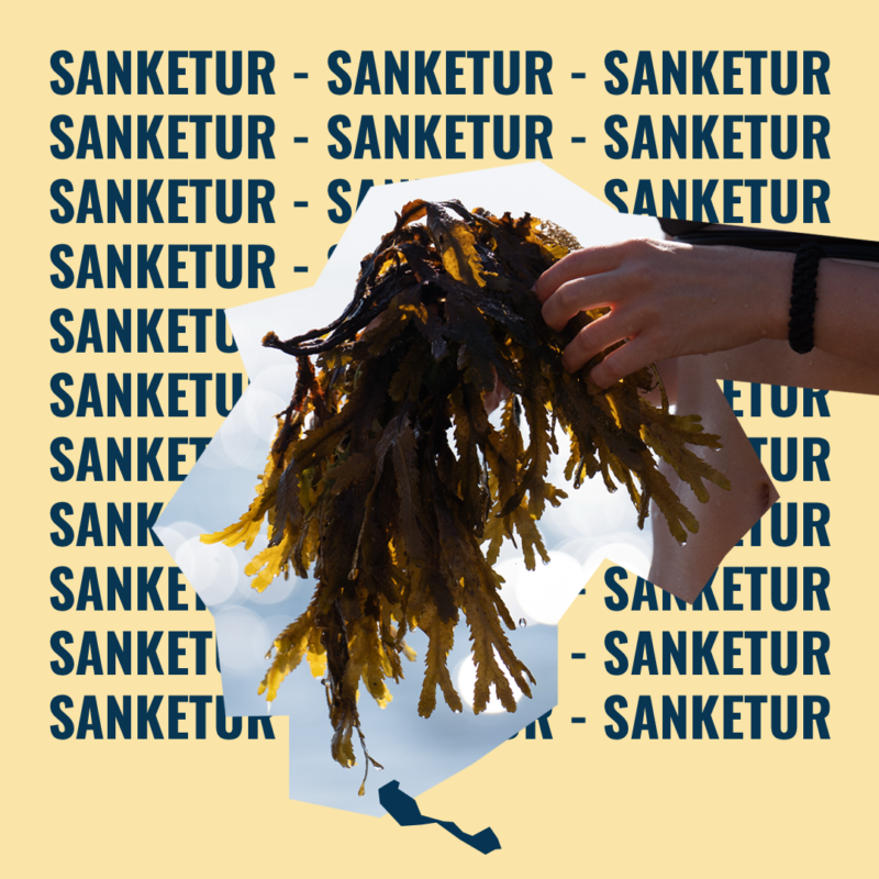 Sanketur på Avernax